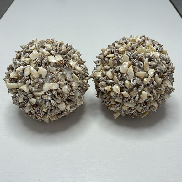 🐚 Shells Balls 🐚 - Picture 2 of 4